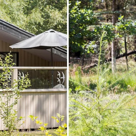 0312-romo-vagtelvej-8 Molby