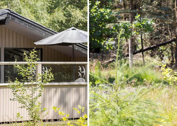 0312-romo-vagtelvej-8 * Molby